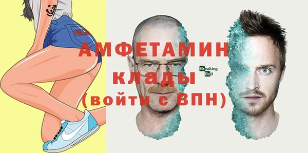 стаф Алзамай