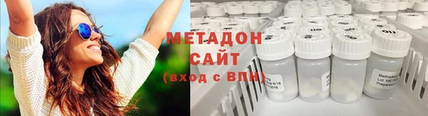 стаф Алзамай