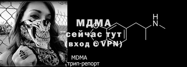 стаф Алзамай