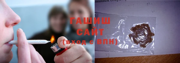 стаф Алзамай