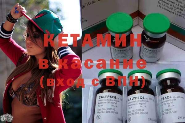стаф Алзамай