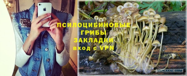стаф Алзамай
