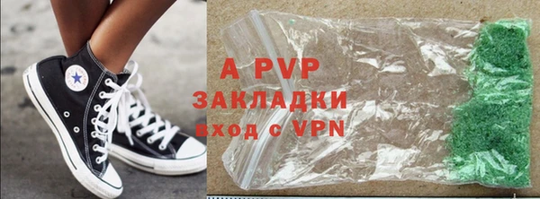 стаф Алзамай