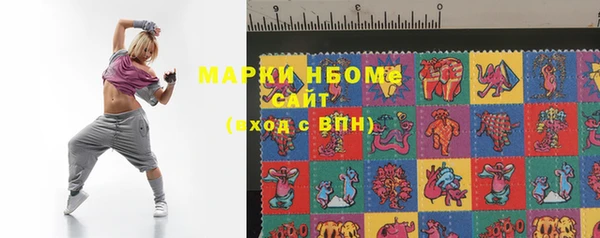 стаф Алзамай