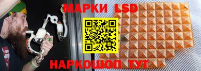 a pvp Ставрополь