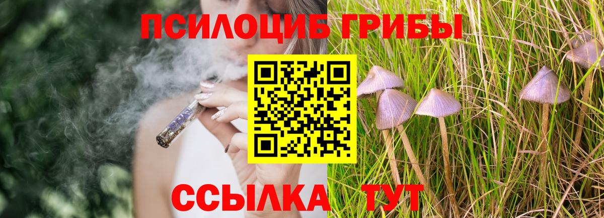Галлюциногенные грибы прущие грибы Тверь