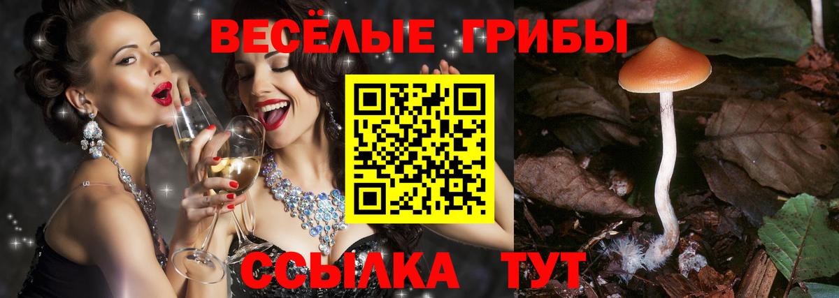 Галлюциногенные грибы ЛСД  Вход с VPN  цены наркотик  Галлюциногенные грибы GOLDEN TEACHER  Тверь 