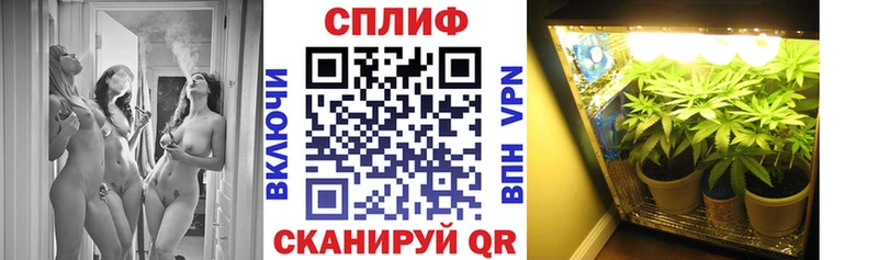 как найти наркотики  Тверь  Шишки марихуана план 